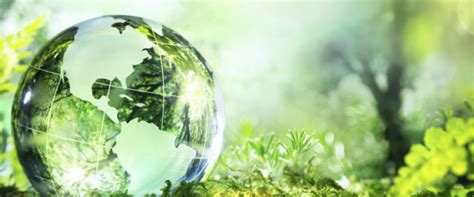 Environmental Planning .